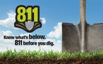 Spring is in the air!